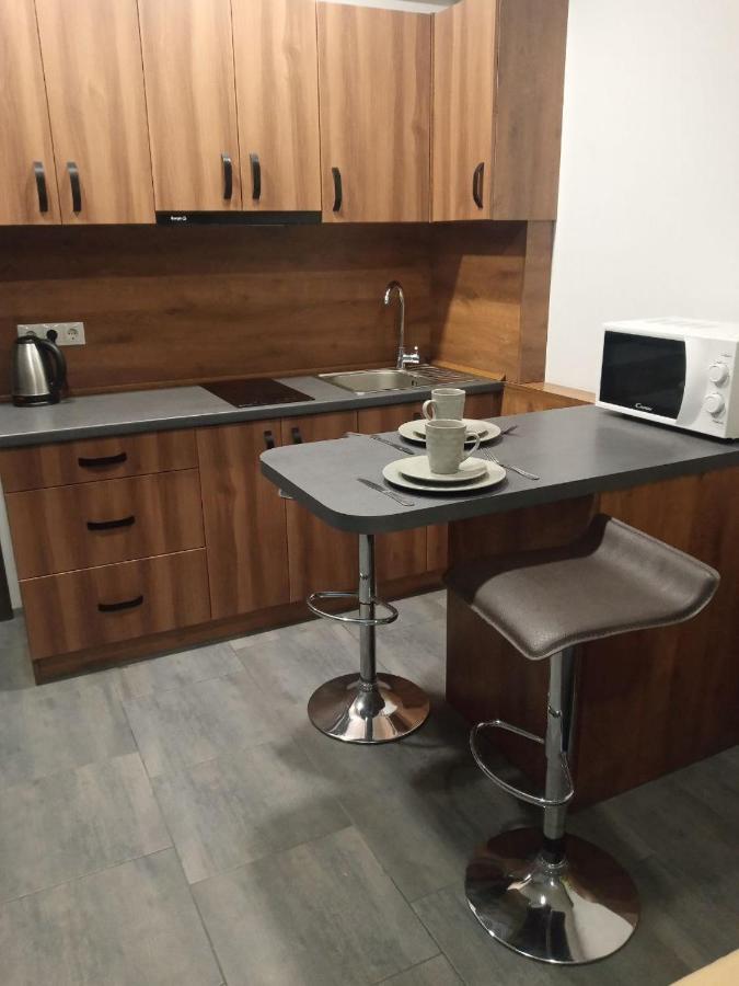 Apartment Yes 41 Ungvár Kültér fotó